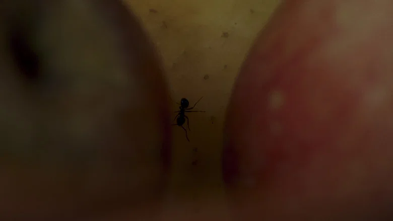 Estaba dormida screenshot 1