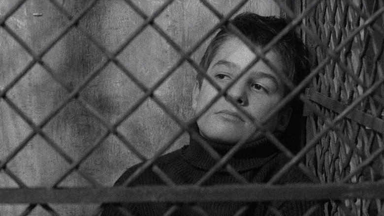 The 400 Blows screenshot 4