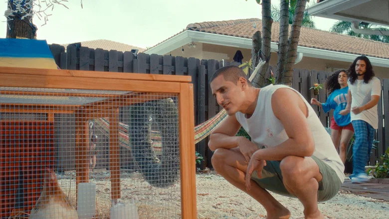 ¡Que Colombianada! screenshot 6