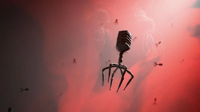 Bacteria Killers screenshot 1