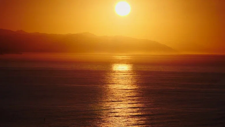 Surfing Morning of the Sun screenshot 2