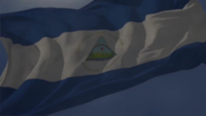 Dual Citizens screenshot 1