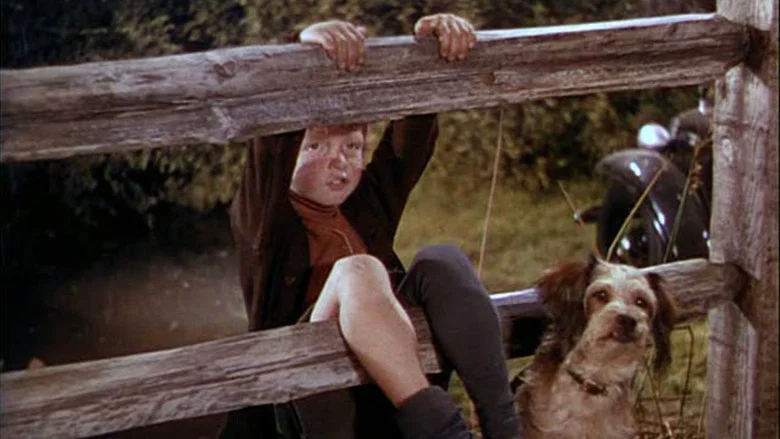 National Velvet screenshot 4