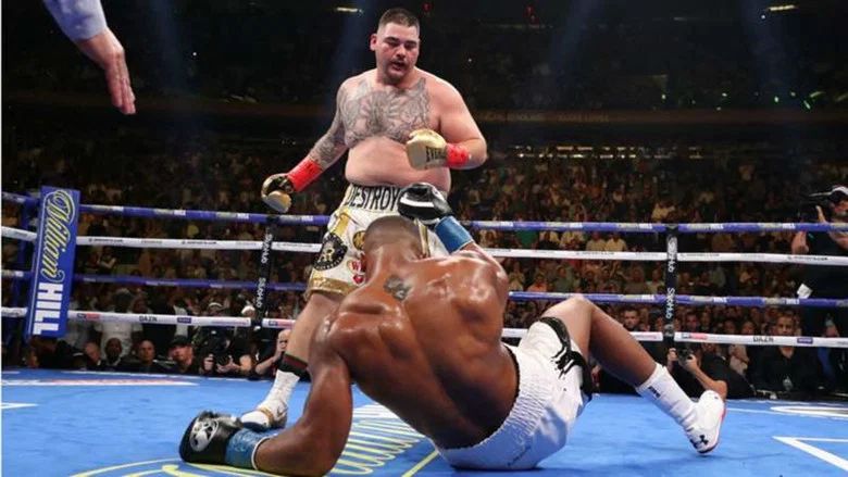 One Night: Joshua vs. Ruiz screenshot 1