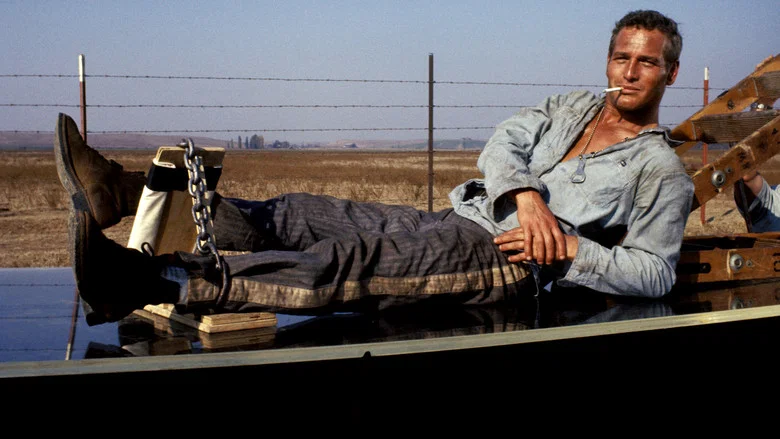 Cool Hand Luke screenshot 8