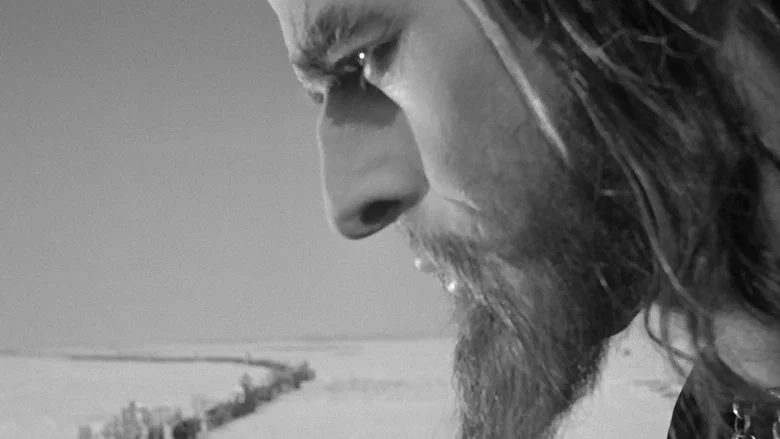 Ivan the Terrible, Part I screenshot 4