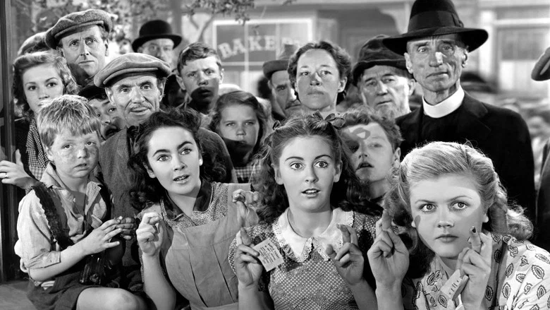 National Velvet screenshot 1