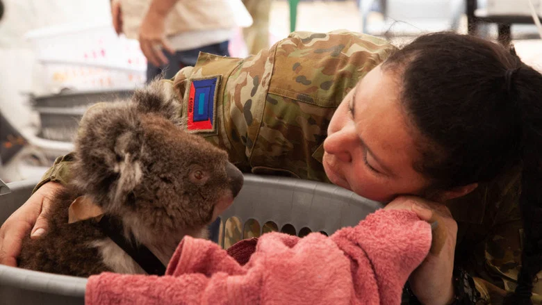 Bushfire Animal Rescue screenshot 1