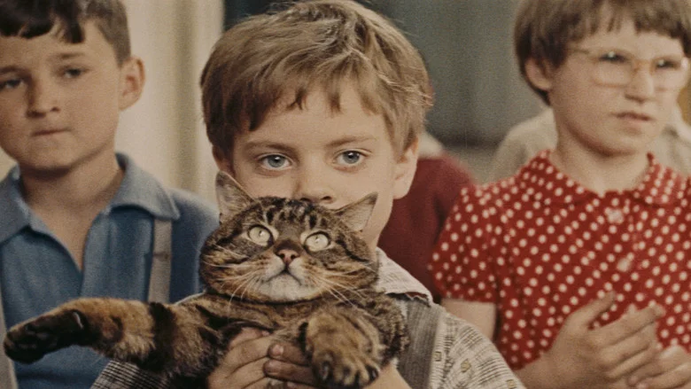 When the Cat Comes screenshot 2