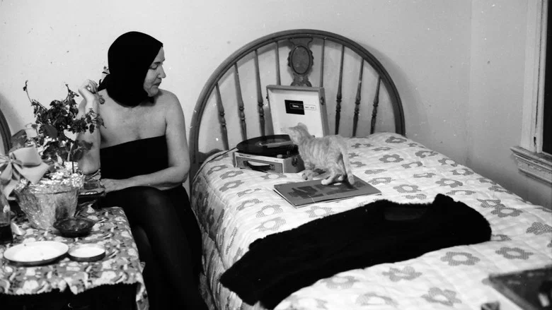 Grey Gardens screenshot 6
