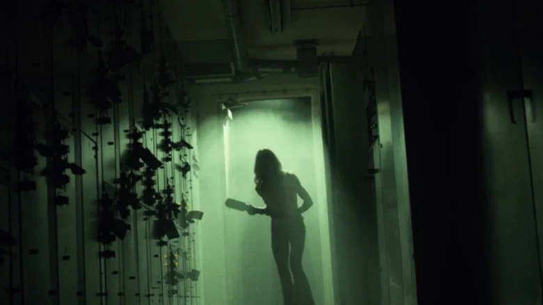 31 screenshot 8