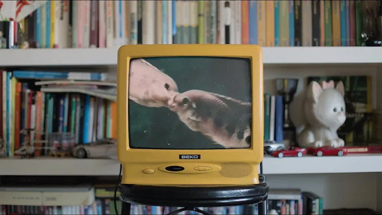 DIYSEX screenshot 1