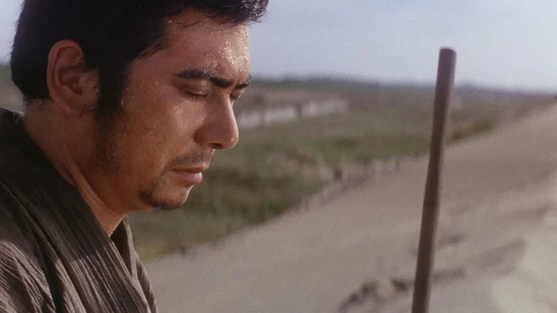 Zatoichi and the Doomed Man screenshot 4