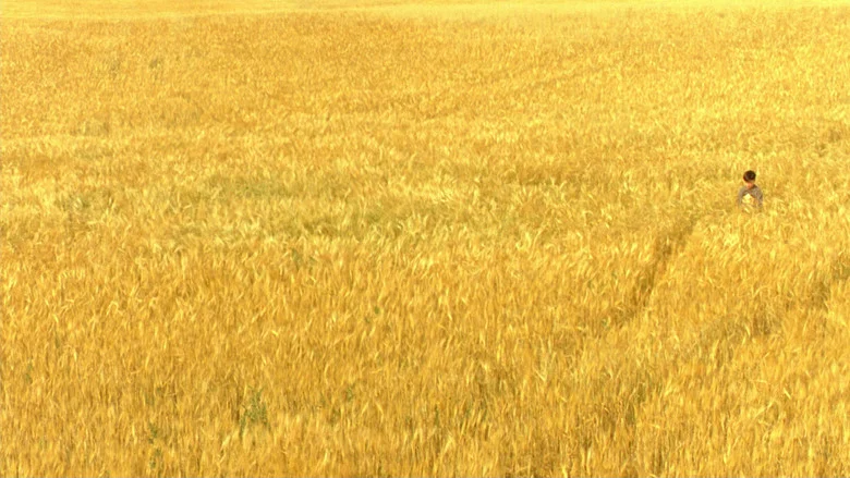 The Reflecting Skin screenshot 1