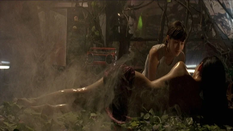 The Chinese Botanist's Daughters screenshot 2