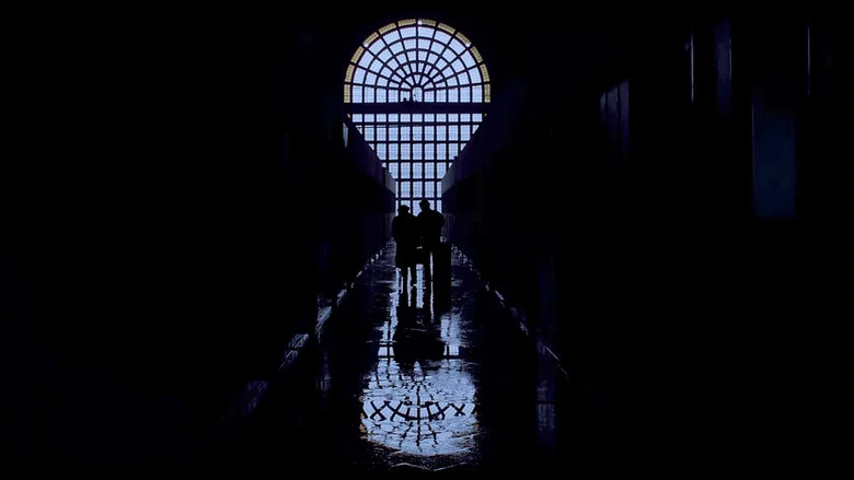 The South screenshot 1