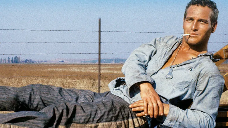 Cool Hand Luke screenshot 5