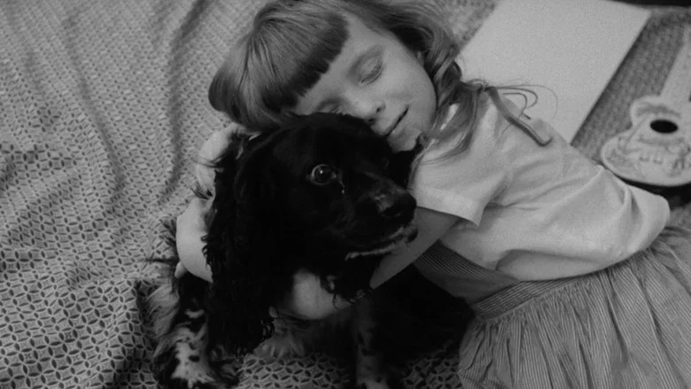 The Dog Lover screenshot 1
