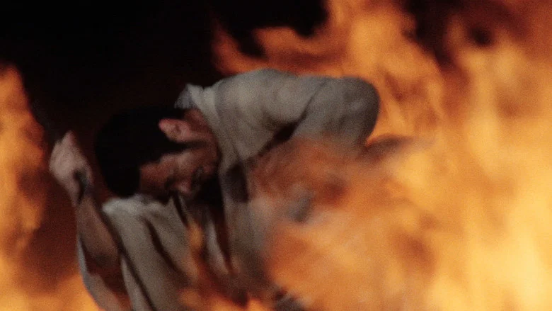 Zatoichi Goes to the Fire Festival screenshot 1