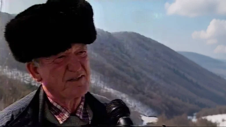 Ștei screenshot 1