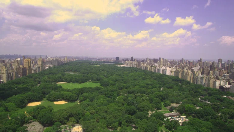 Olmsted and America's Urban Parks screenshot 1