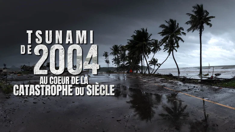 Tsunami 2004 : ils ont filmé la catastrophe du siècle screenshot 1