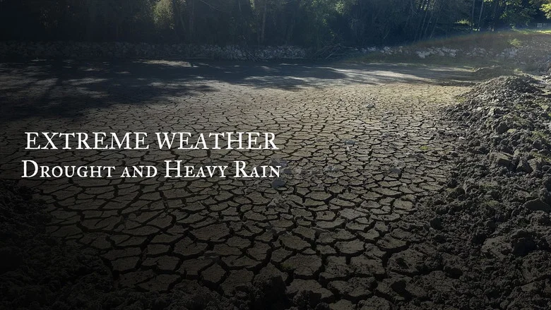 Extreme Weather: Drought and Heavy Rain screenshot 2