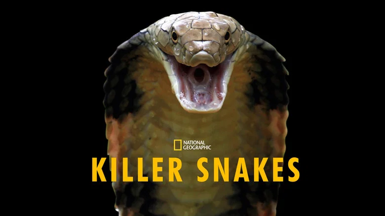 Killer Snakes screenshot 1