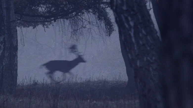 Deer Boy screenshot 5