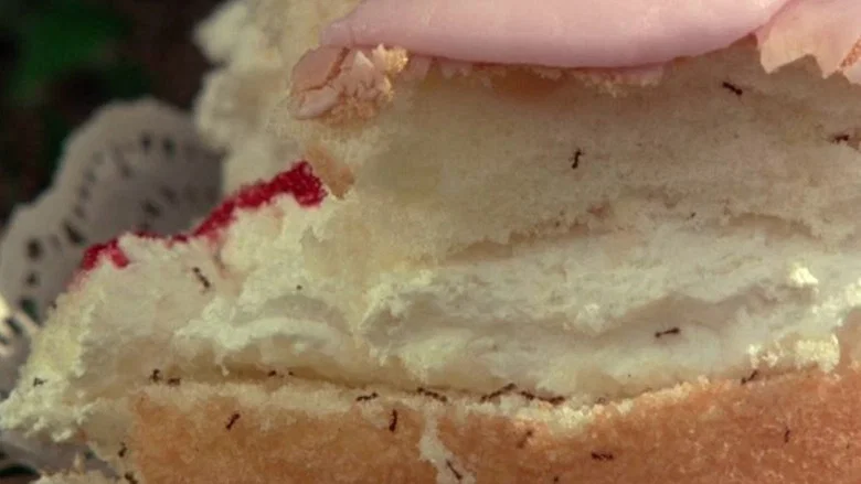 Picnic at Hanging Rock screenshot 4