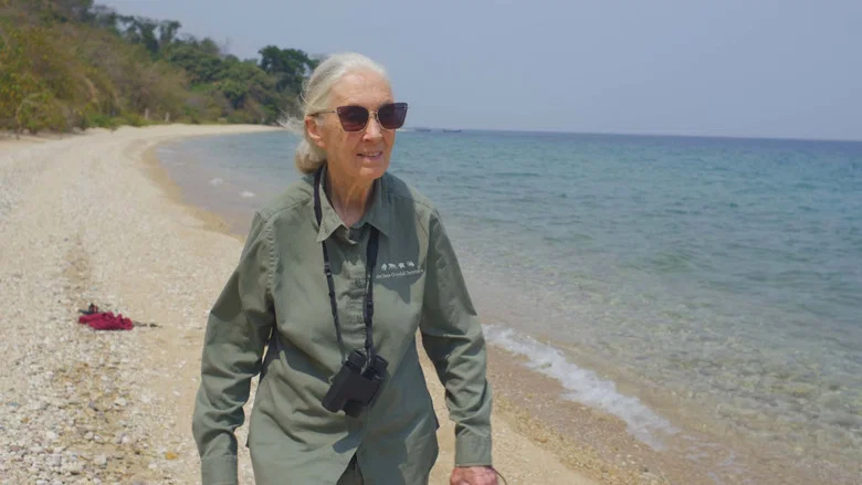 Jane Goodall: The Hope screenshot 2