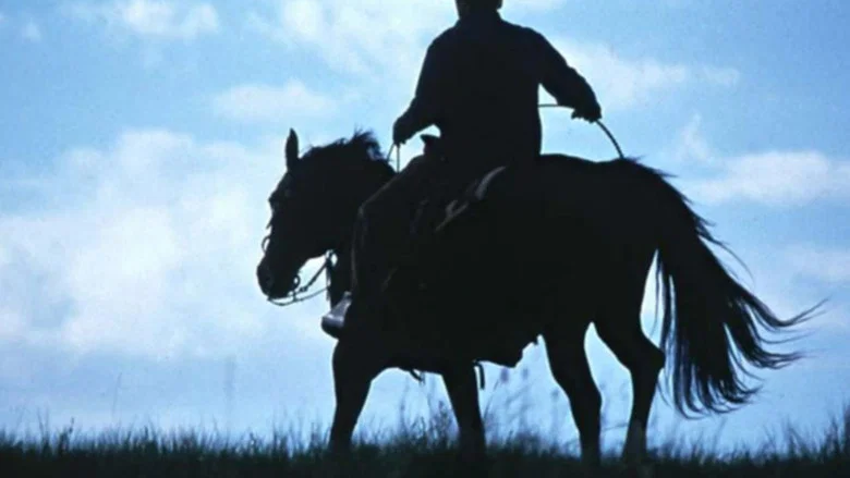 The Horse Whisperer screenshot 7