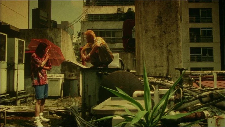 Dead or Alive 2: Birds screenshot 4