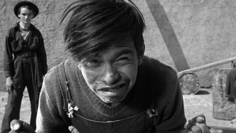 The Young and the Damned screenshot 5