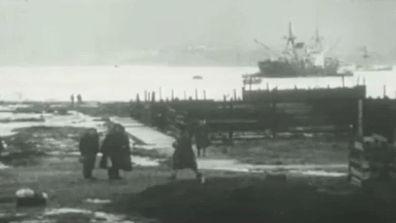 Valdivia 1960, El Gran Terremoto screenshot 2