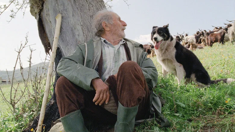 The Four Times screenshot 3