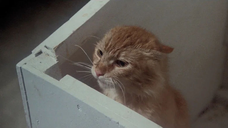 Uninvited screenshot 3