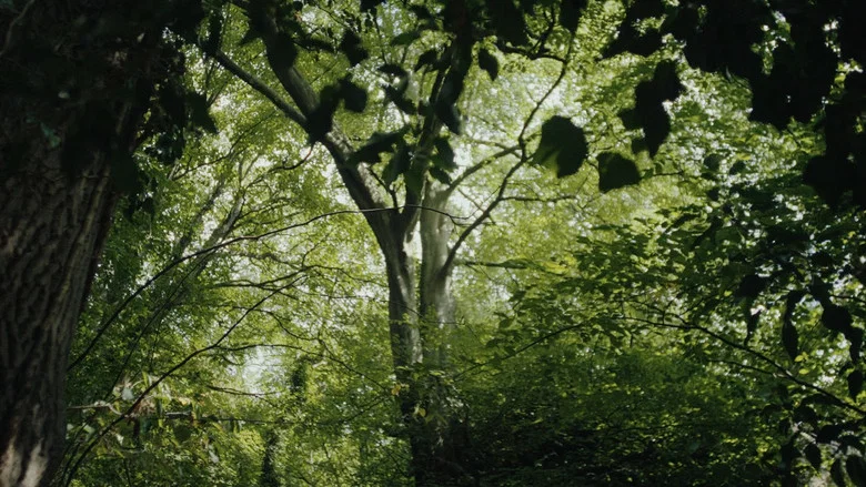 Wilderness screenshot 2