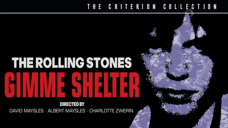 Gimme Shelter screenshot 5