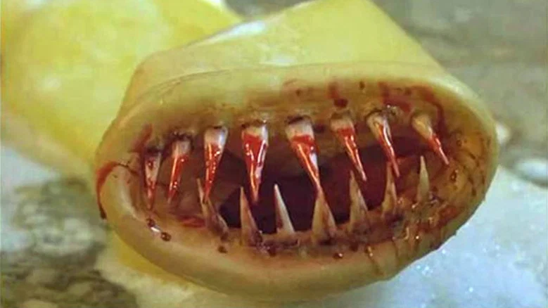 The Killer Condom screenshot 6