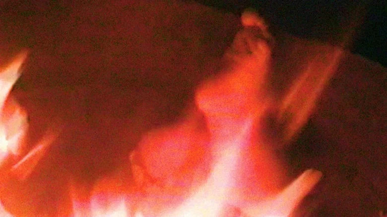 BUM screenshot 6