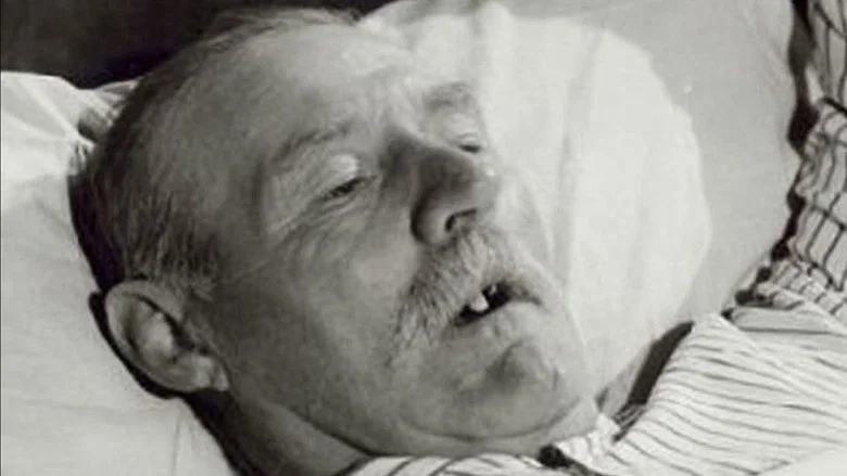 Life and Death in Flanders screenshot 1