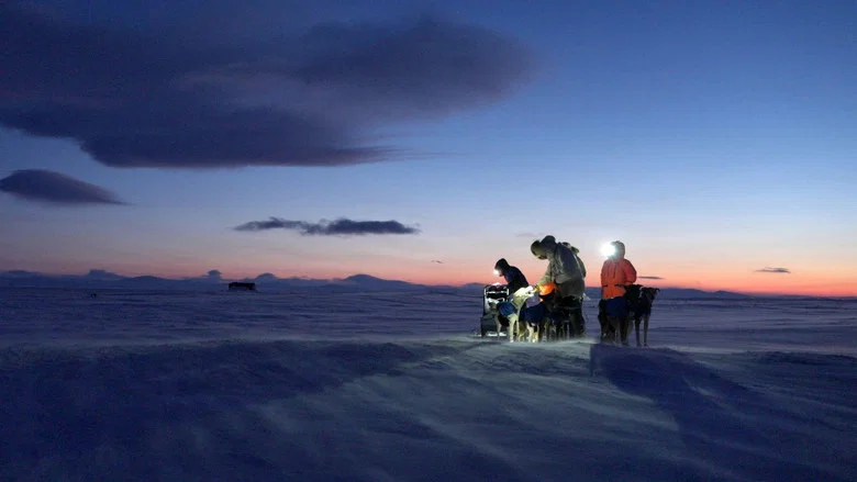 Musher, l'appel de l'Alaska screenshot 2