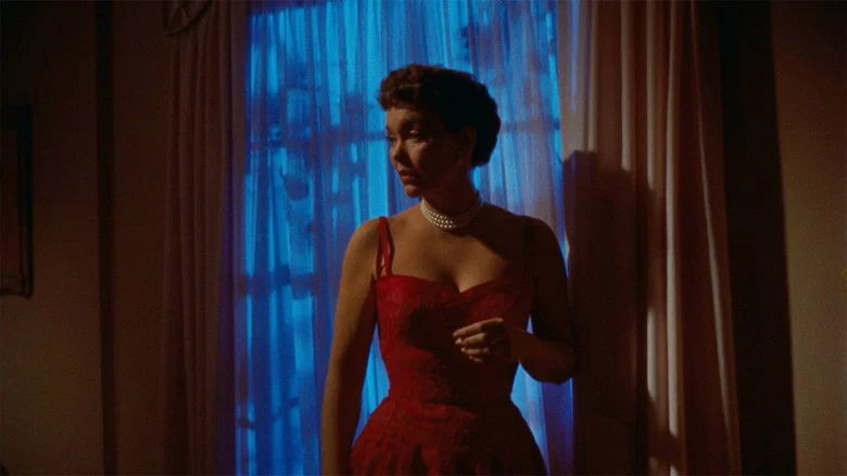 All That Heaven Allows screenshot 4