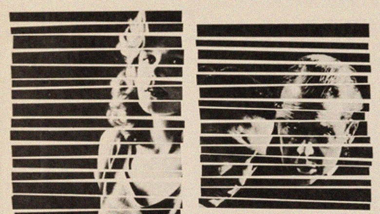 Anatomy of a Murder screenshot 5