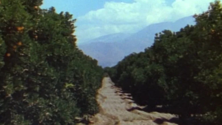 Ramona screenshot 7