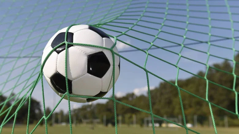Beruf Fussballprofi - Ein Traum wird Realität screenshot 1