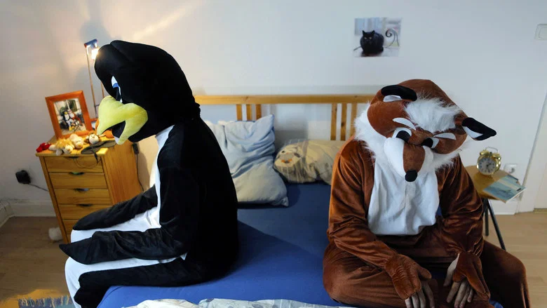 Fox & Penguin screenshot 1